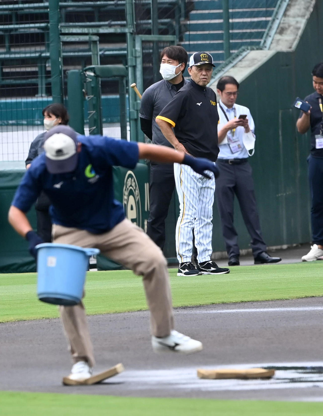 阪神対広島　阪神園芸のグラウンド整備を見る阪神岡田監督（撮影・前岡正明）
