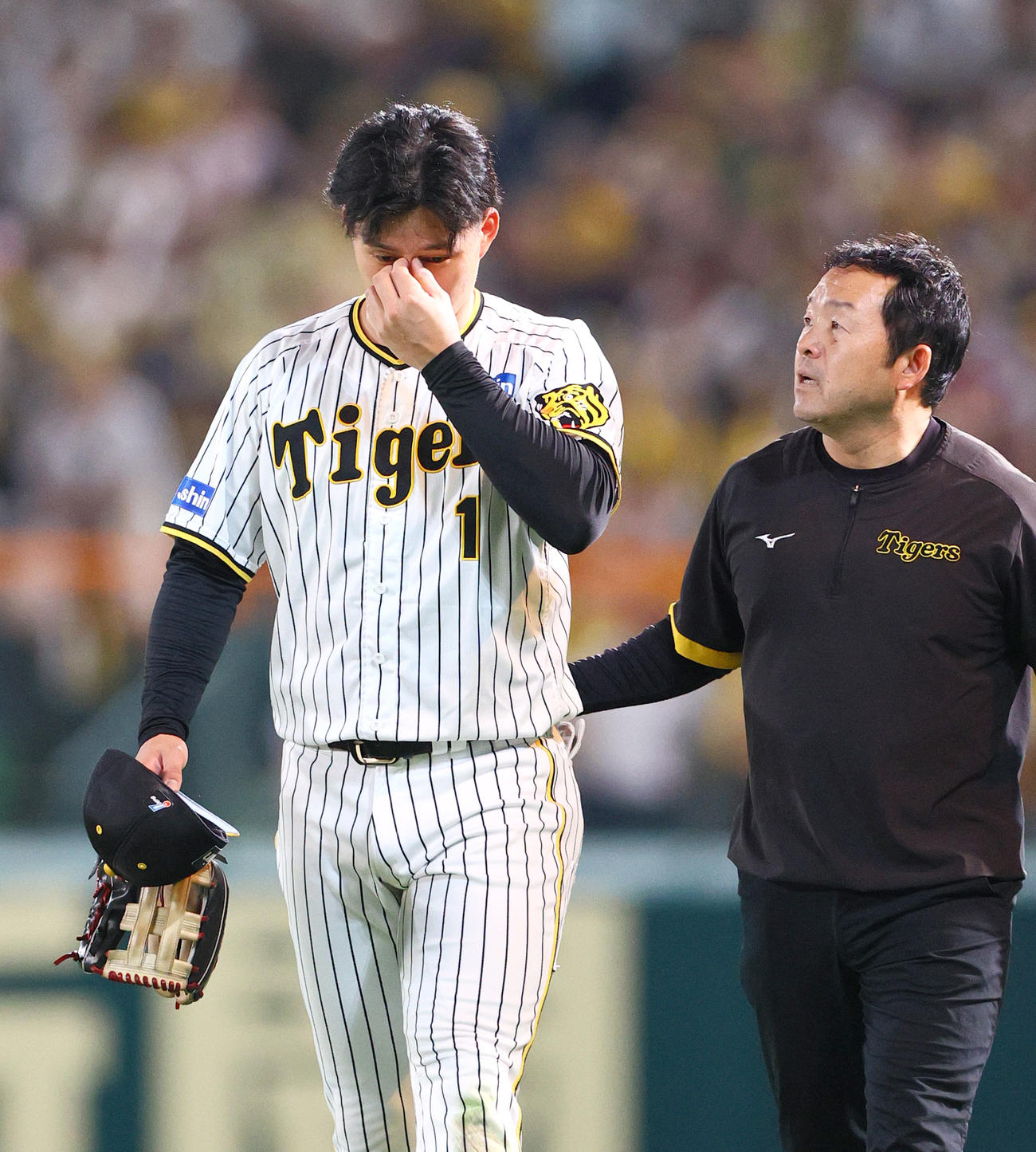 阪神対広島　8回表広島無死、右翼手森下はデビッドソンの右三塁打の打球を追いフェンスに衝突ベンチへ退く（撮影・上山淳一）