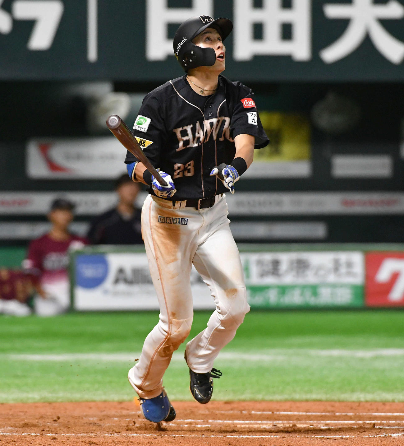 ソフトバンク対楽天　6回裏ソフトバンク2死満塁、周東は右越え満塁本塁打を放つ（撮影・岩下翔太）