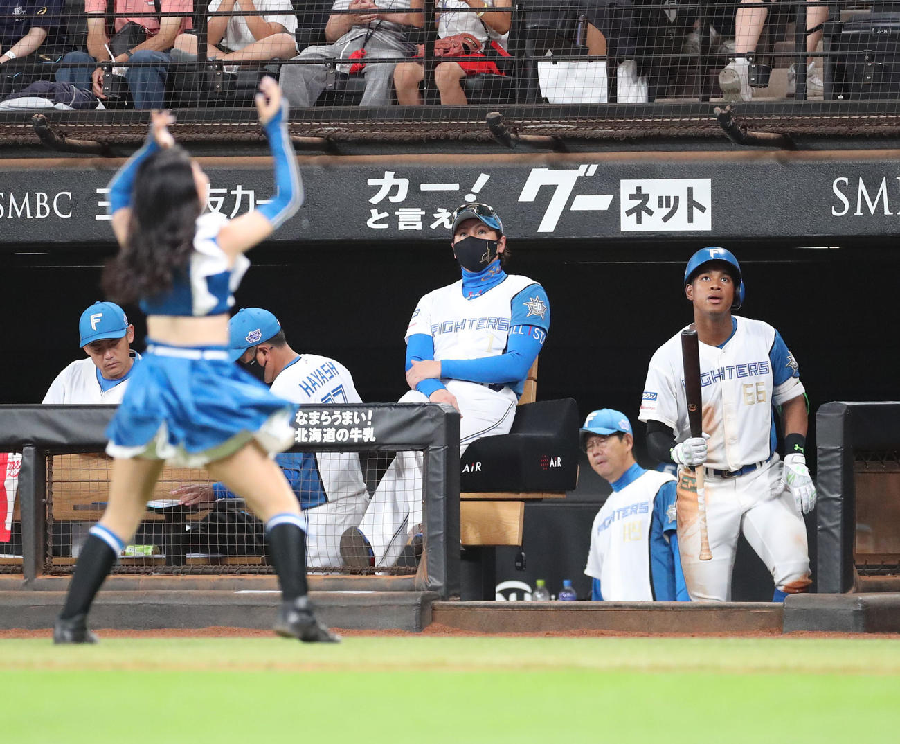 日本ハム対西武　ベンチからグラウンドを見つめる日本ハム新庄監督（撮影・佐藤翔太）