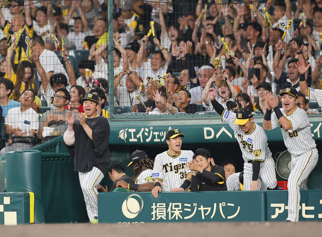 阪神対広島　10勝目を飾り、ベンチで喜ぶ阪神村上（左端）ら（撮影・藤尾明華）