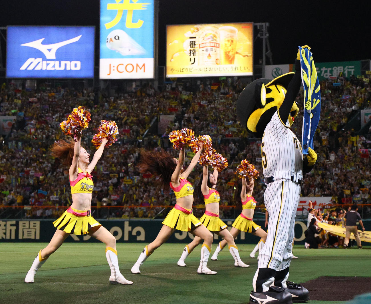 阪神対広島　ラッキーセブンを盛り上げるタイガースガールズ（撮影・上山淳一）