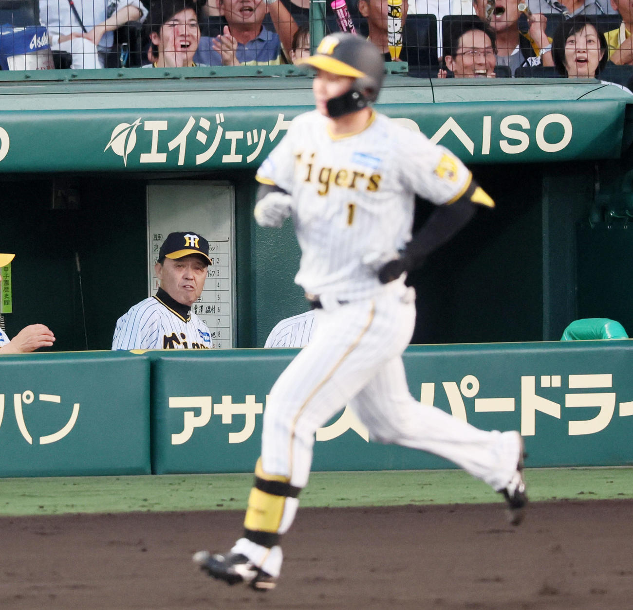 阪神対広島　1回裏阪神2死、岡田監督は先制本塁打を放った森下を見つめる（撮影・加藤哉）