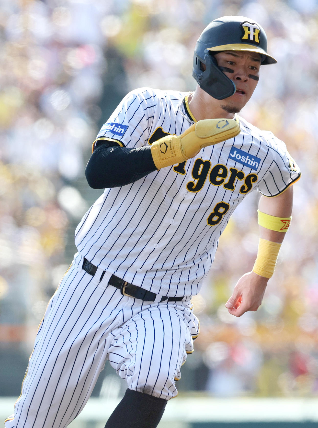阪神対広島　2回裏阪神無死二塁、二走佐藤輝はノイジーの右前適時打で生還する（撮影・上山淳一）