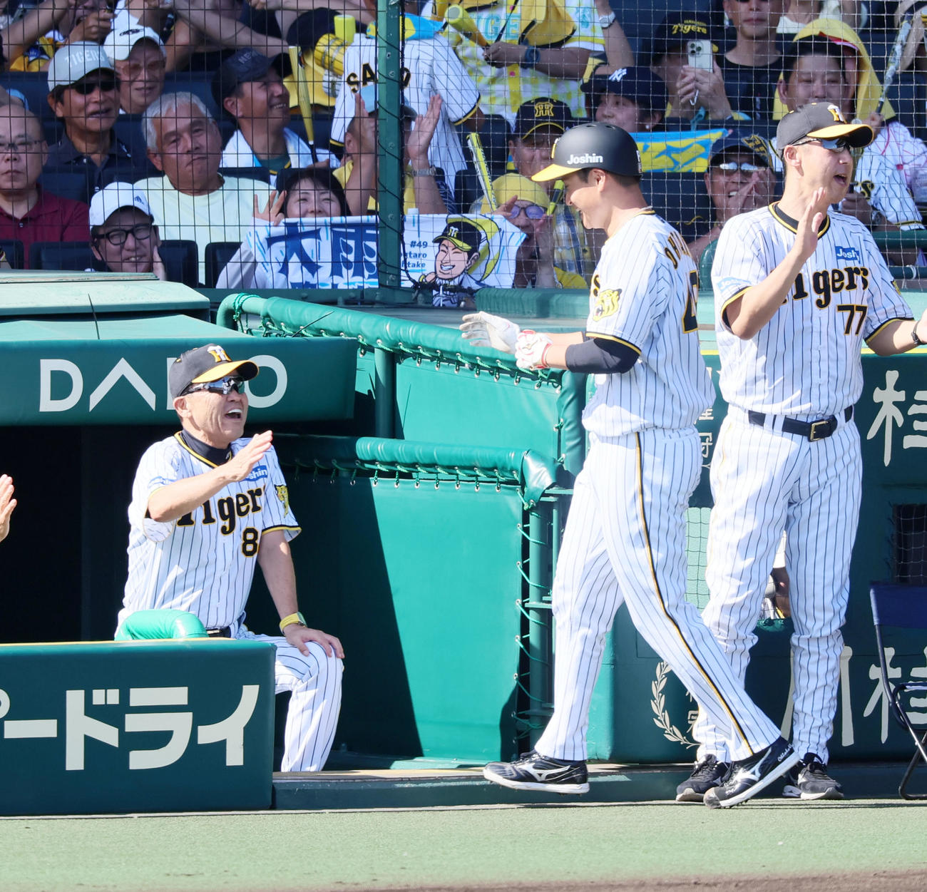 阪神対広島　2回裏阪神1死二、三塁、二塁走者大竹は近本の左適時二塁打で生還しベンチで笑顔の岡田監督（左）とタッチする（撮影・加藤哉）