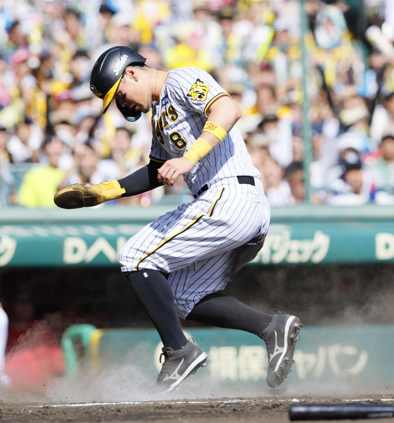 阪神対広島　2回裏阪神無死二塁、ノイジーの右前適時打で生還する佐藤輝（撮影・藤尾明華）