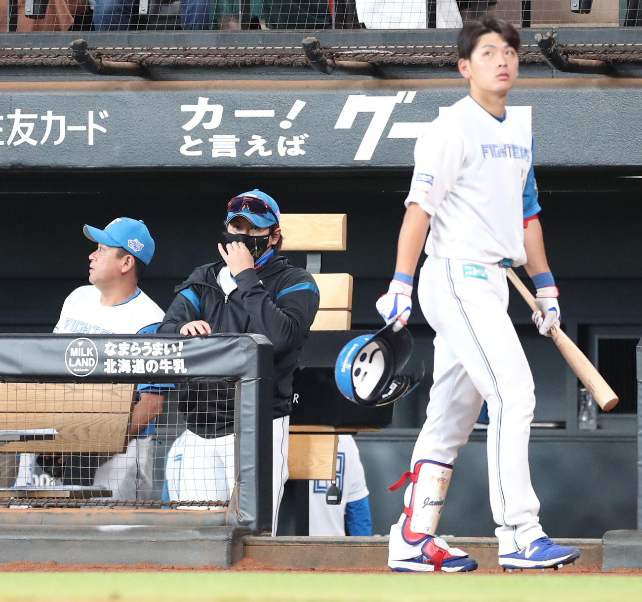 日本ハム対西武　ベンチからグラウンドを見つめる日本ハム新庄監督（中央）（撮影・佐藤翔太）