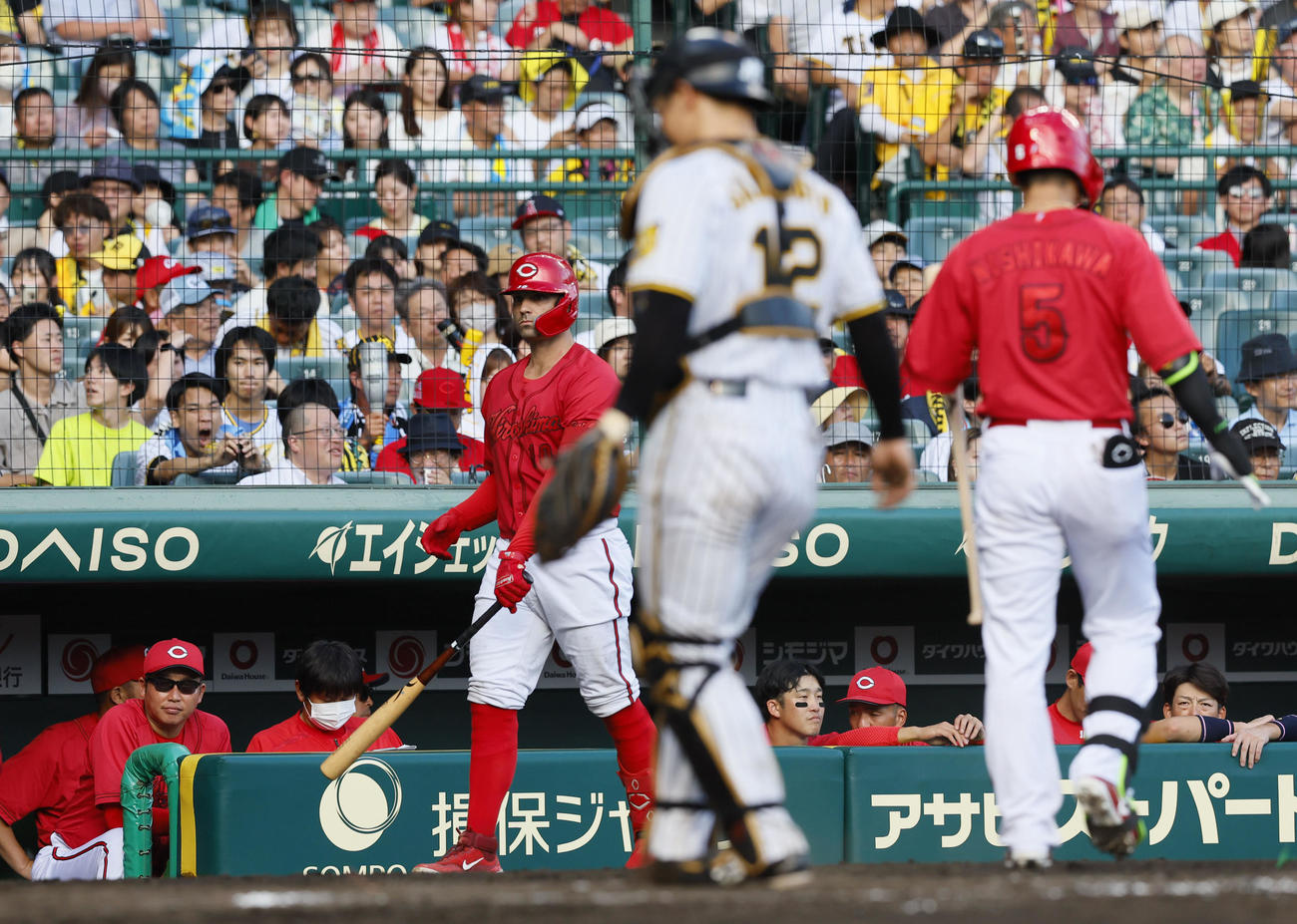 阪神対広島　9回表広島無死、三振に倒れた西川龍馬（5）とベンチの新井貴浩監督（左端）（撮影・藤尾明華）