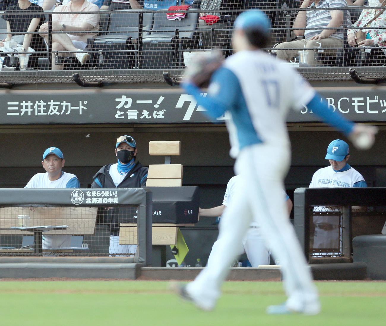 日本ハム対西武　日本ハム新庄監督（左から2人目）はベンチから伊藤を見つめる（撮影・佐藤翔太）