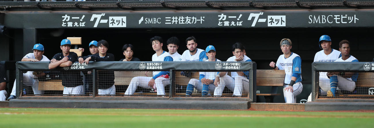 日本ハム対西武　意気消沈の日本ハムベンチ（撮影・佐藤翔太）