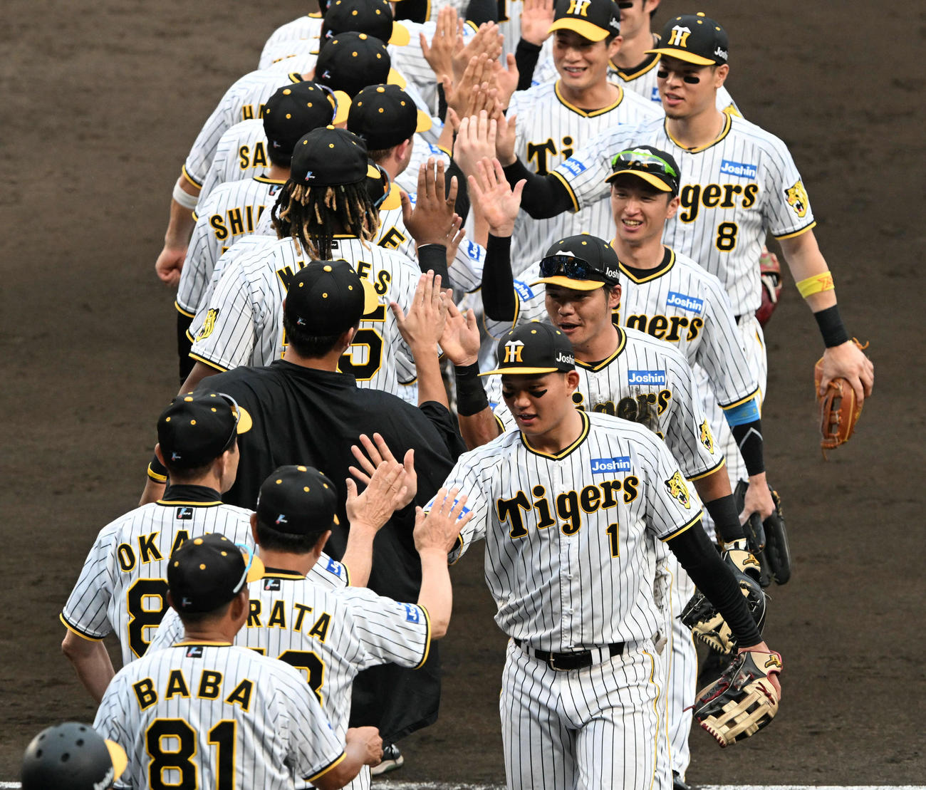 阪神対広島　広島に快勝しタッチを交わす阪神の選手ら（撮影・前岡正明）