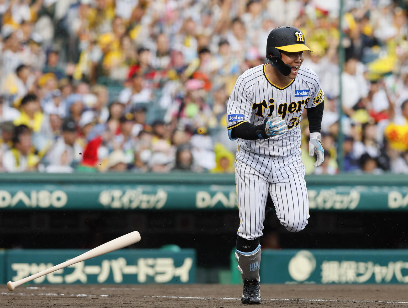 阪神対広島　8回裏阪神2死満塁、代打糸原は中前に勝ち越しの2点適時打を放ち雄たけびをあげる（撮影・藤尾明華）