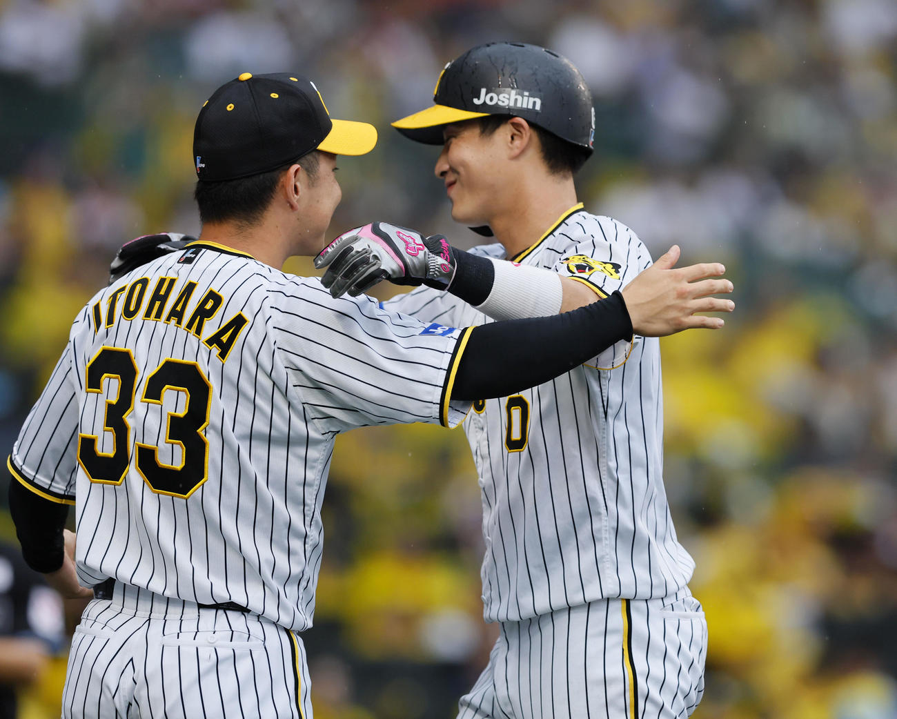 阪神対広島　8回裏に勝ち越し、糸原（左）と抱き合う木浪（撮影・藤尾明華）