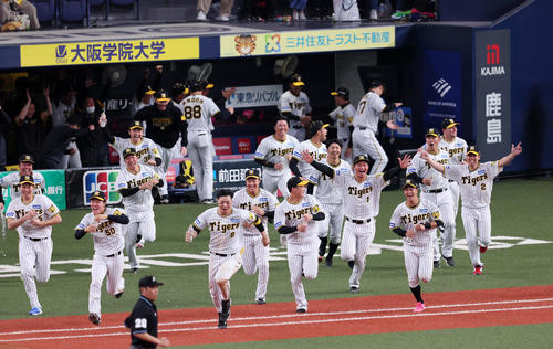 4月1日、阪神対DeNA 12回裏阪神2死満塁、近本のサヨナラ適時打でベンチから駆け出す森下(右から5人目)ら(撮影・加藤哉)
