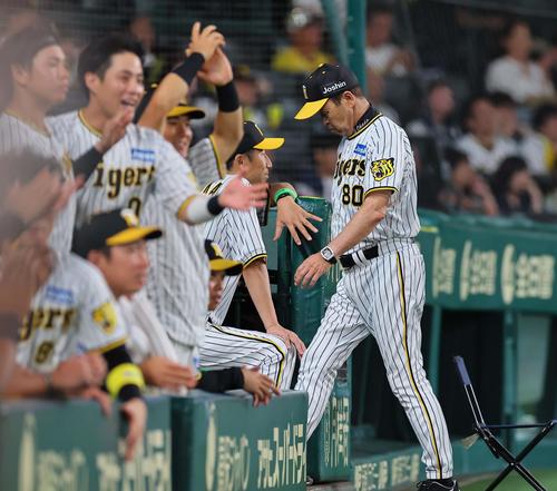7月8日、阪神対ヤクルト　適時打を放った小野寺に代走を告げベンチに引き揚げる岡田監督（撮影・上田博志）