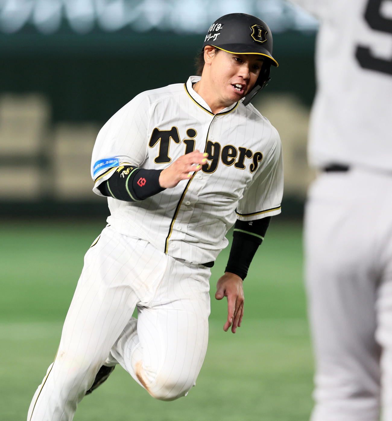 阪神梅野隆太郎（2023年8月9日撮影）