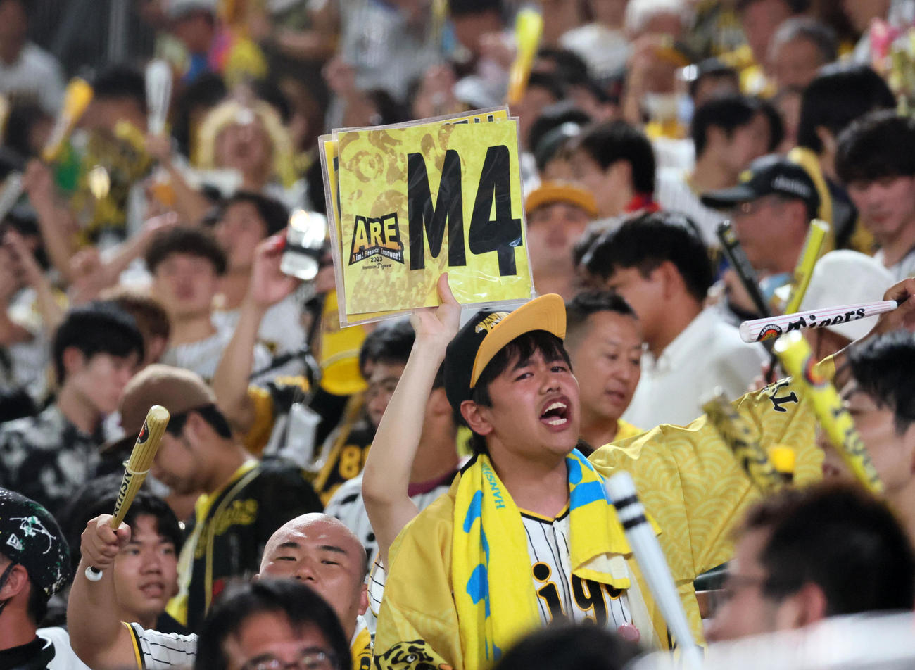 阪神対巨人　巨人に勝利しひとまずM4のボードを出す阪神ファン（撮影・加藤哉）