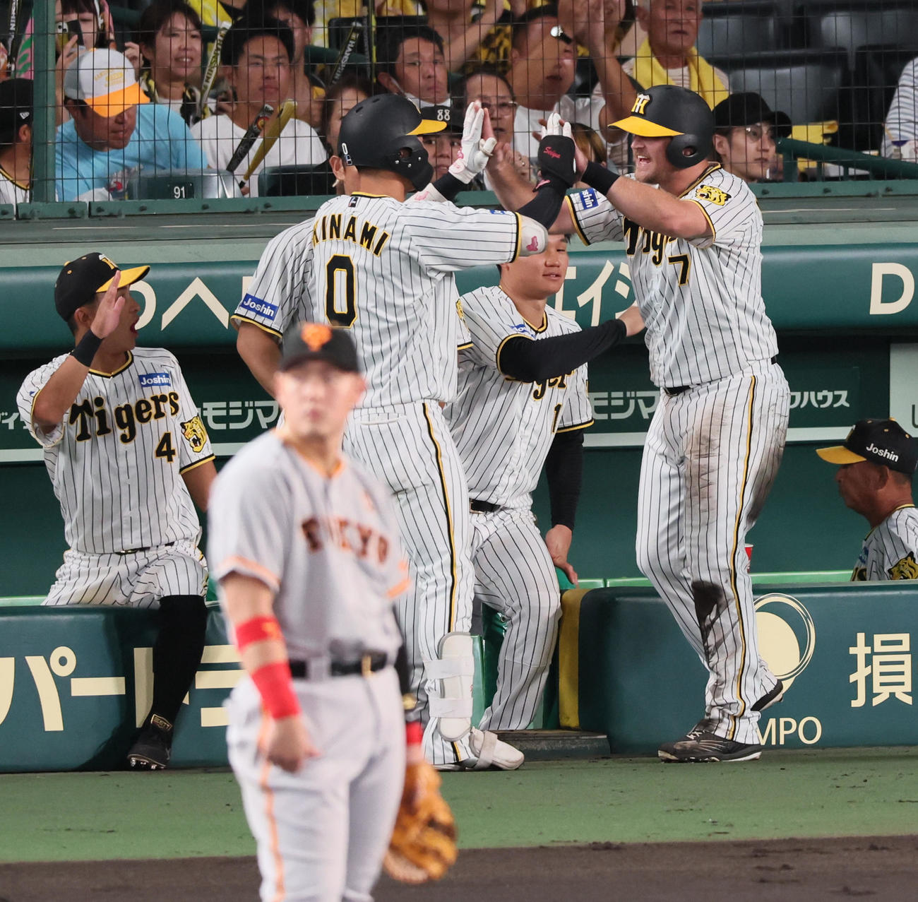 阪神対巨人　2回裏阪神1死一、三塁、木浪の右飛で生還し犠飛となり笑顔でタッチする三塁走者ノイジー（撮影・加藤哉）