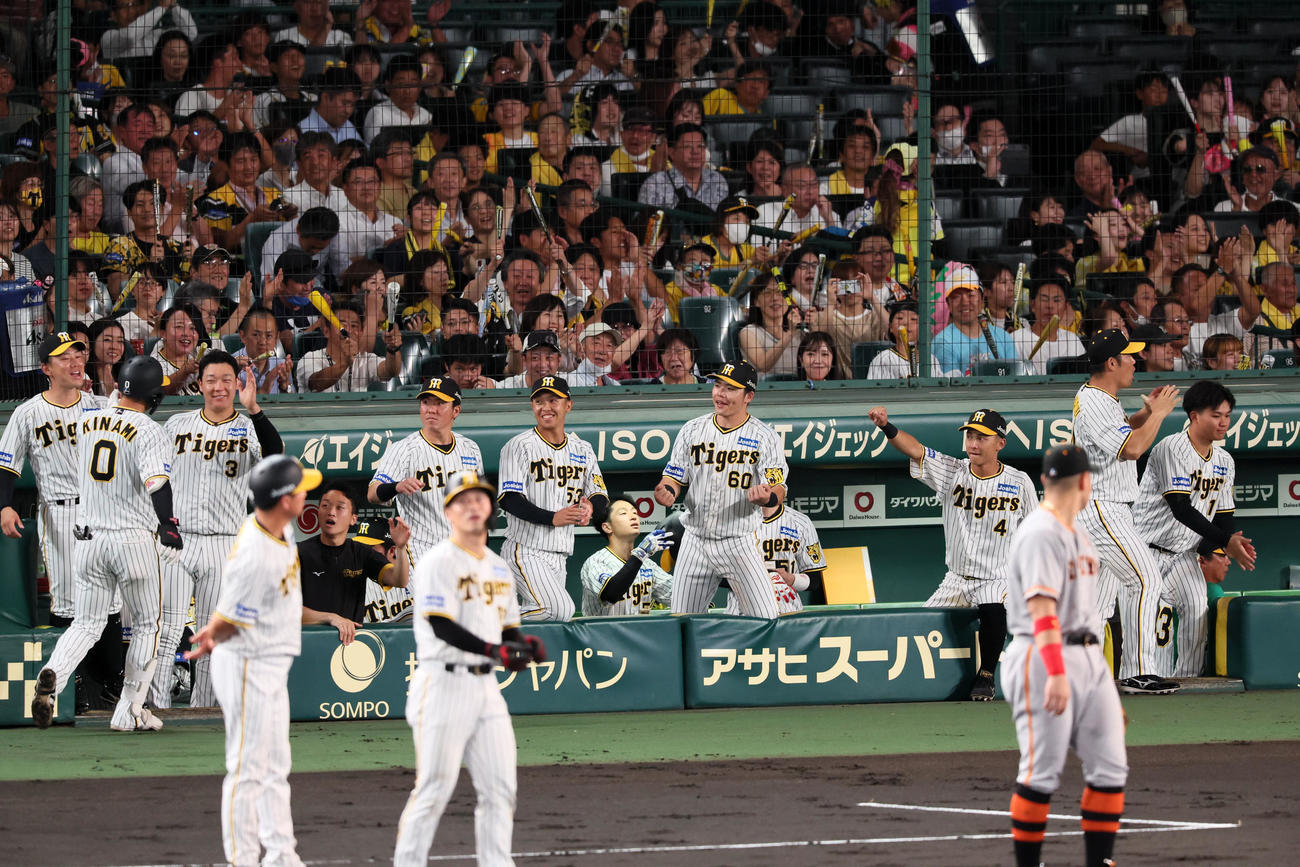 阪神対巨人　2回裏阪神1死一、三塁、木浪の右犠飛に喜ぶナイン（撮影・加藤哉）