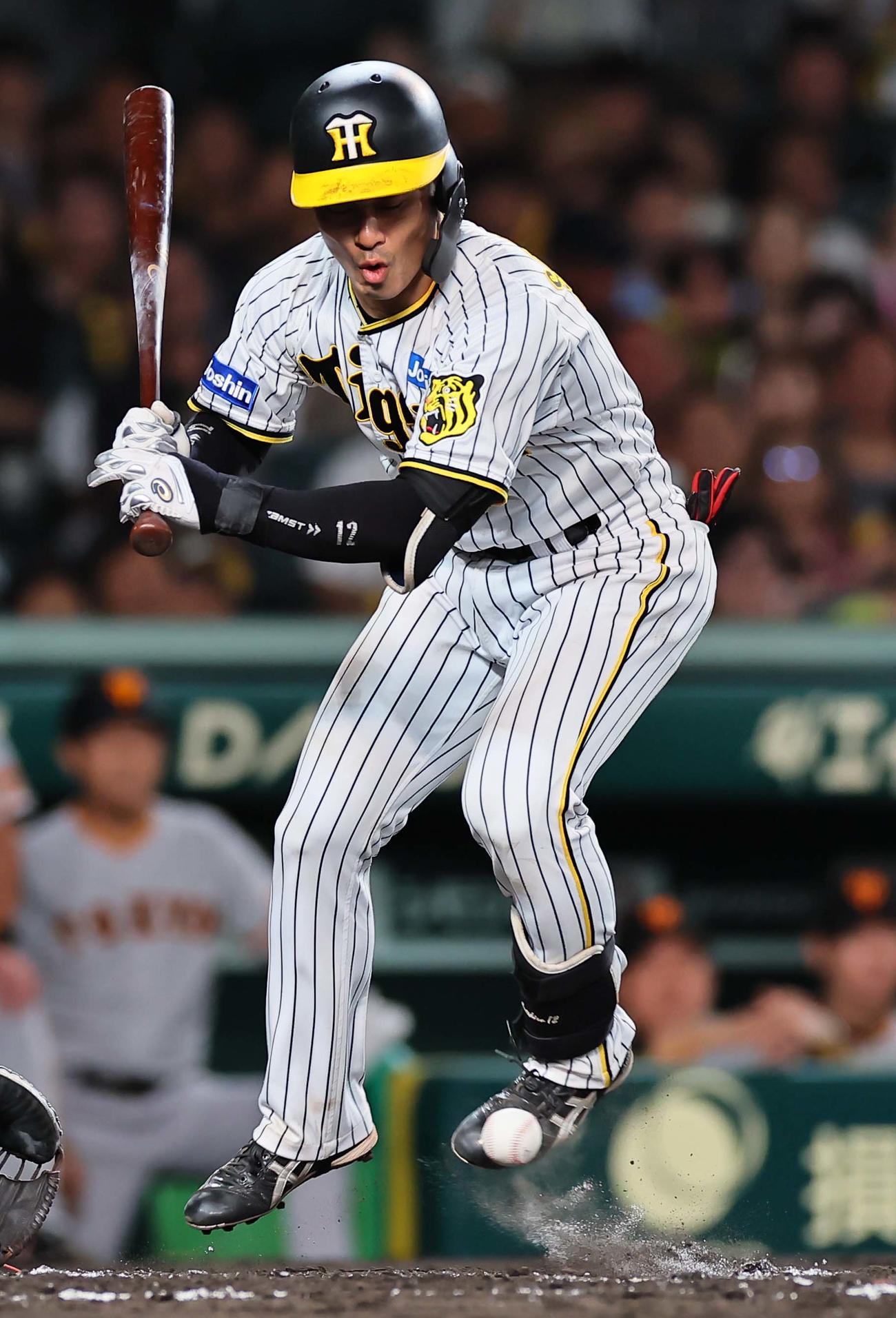 阪神対巨人　2回裏阪神1死三塁、坂本は死球を受ける（撮影・上田博志）