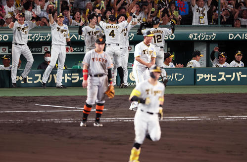 阪神対巨人 6回裏阪神2死一塁、佐藤輝の中越え2点本塁打に喜ぶベンチのナイン(撮影・加藤哉)