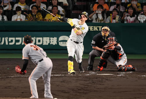 阪神対巨人 4回裏阪神無死満塁。佐藤輝は三振に倒れる。投手は赤星(撮影・加藤哉)