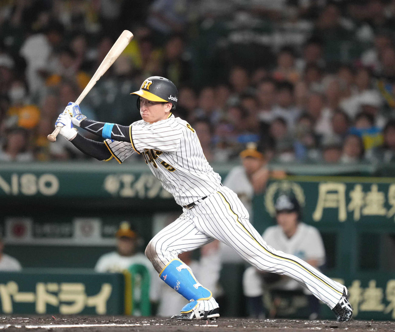 阪神対巨人　3回裏阪神無死、中前打を放つ近本（撮影・狩俣裕三）