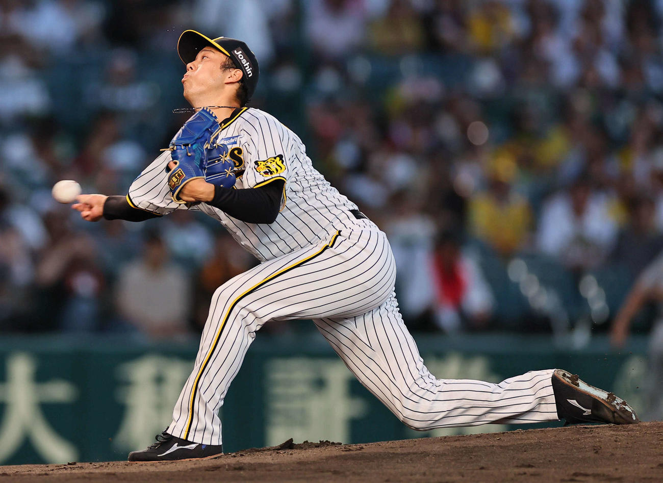 阪神対巨人　力投する阪神先発の青柳（撮影・上田博志）