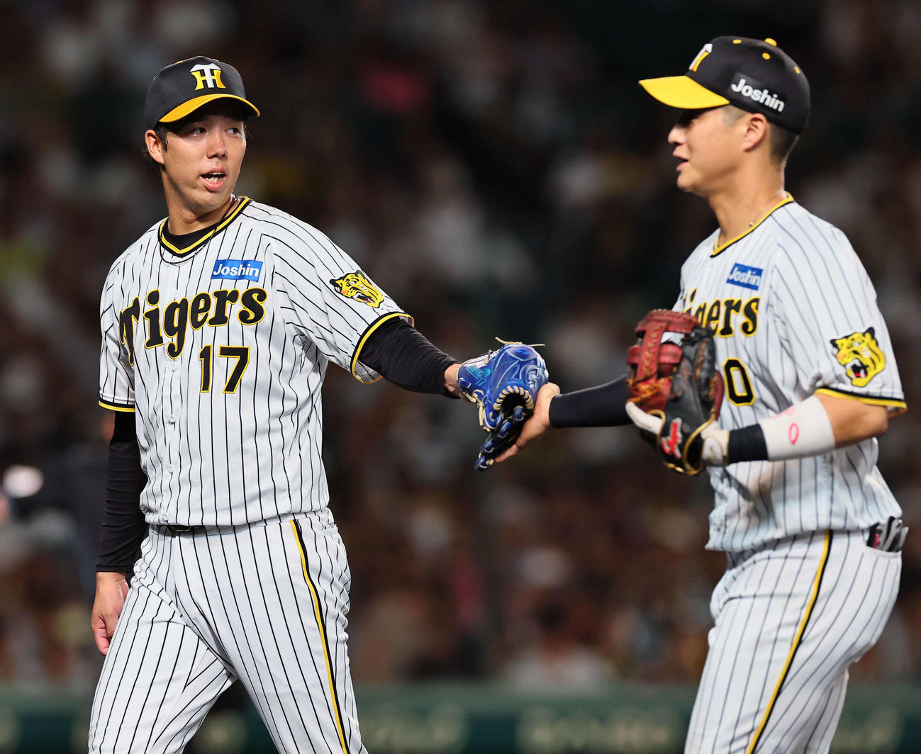 阪神対巨人　青柳（左）は6回無失点で降板する（撮影・上田博志）