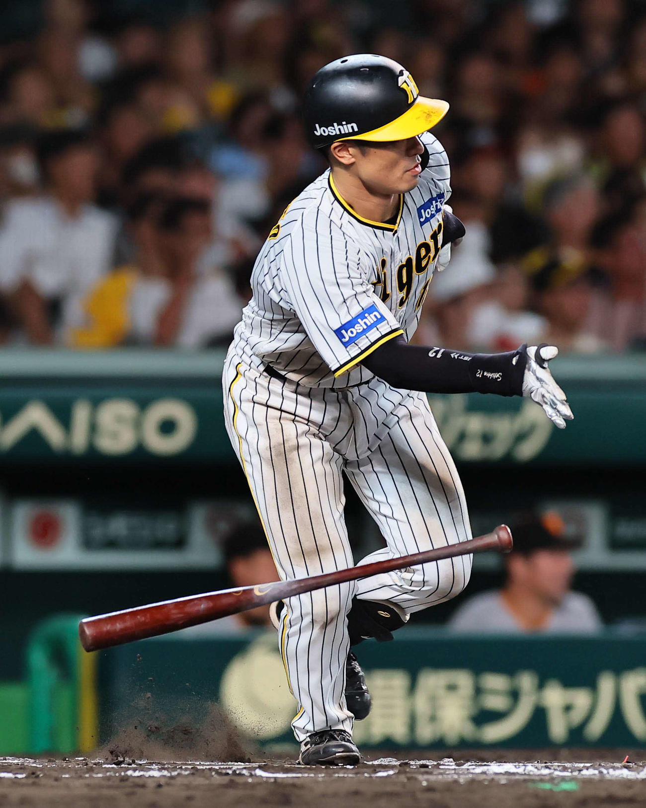 阪神対巨人　6回裏阪神無死、坂本は左前打を放つ（撮影・上田博志）