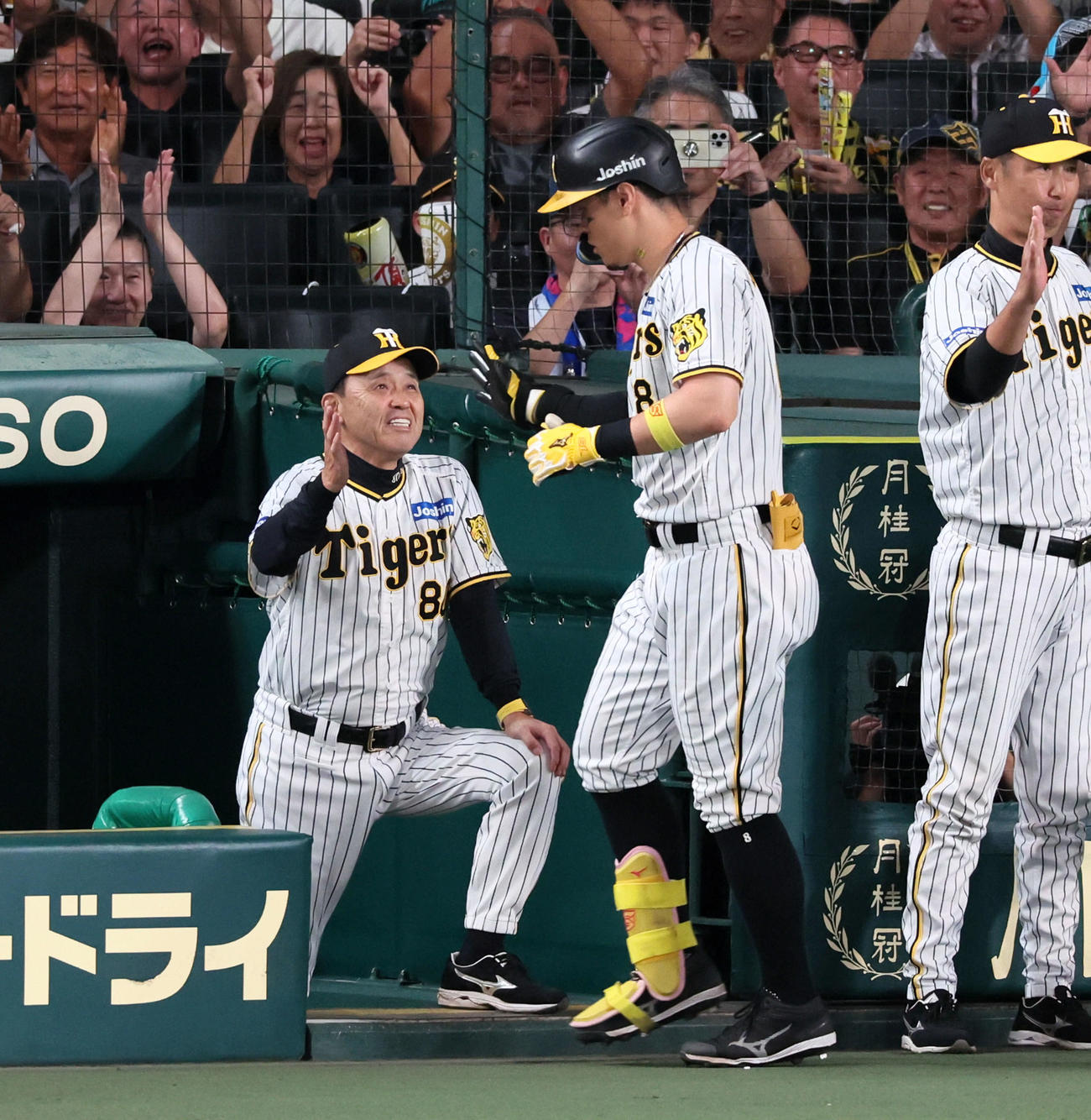 阪神対巨人　3回裏阪神1死満塁、岡田監督（左）は満塁本塁打を放った佐藤輝を出迎える（撮影・加藤哉）