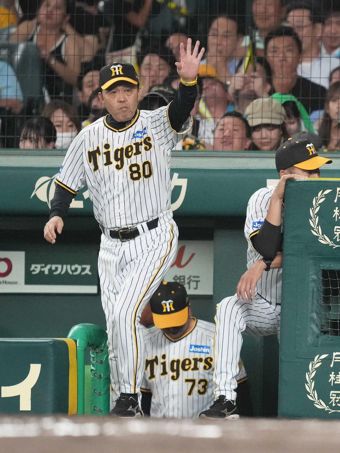 阪神対巨人　8回裏、代打糸原を指示する岡田監督（撮影・狩俣裕三）