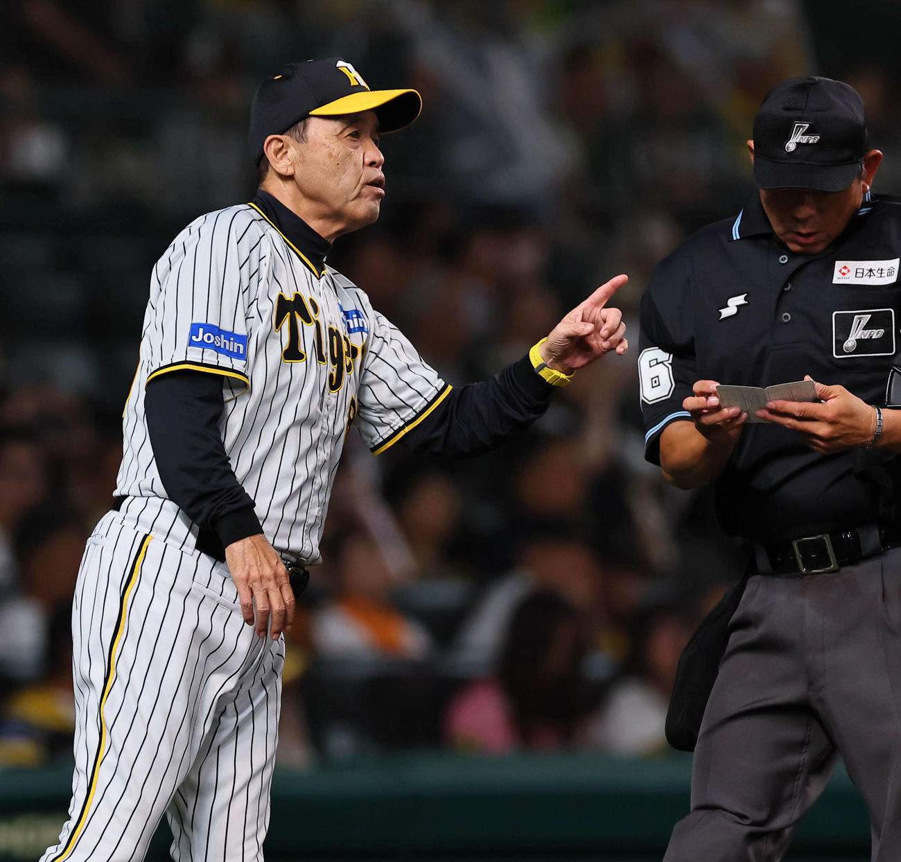 阪神対巨人　選手交代を告げる岡田監督（撮影・上田博志）