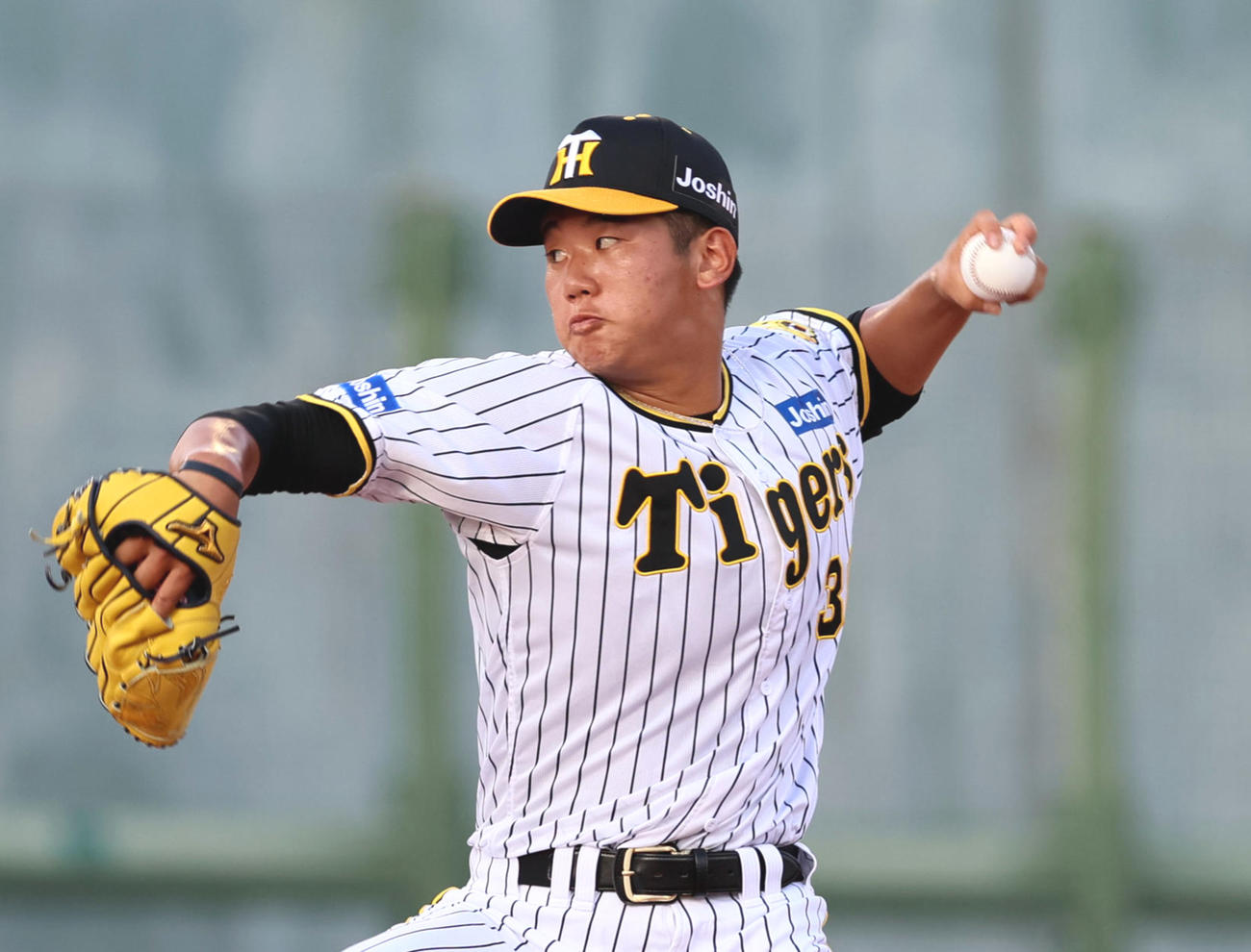 阪神門別啓人（2023年7月撮影）