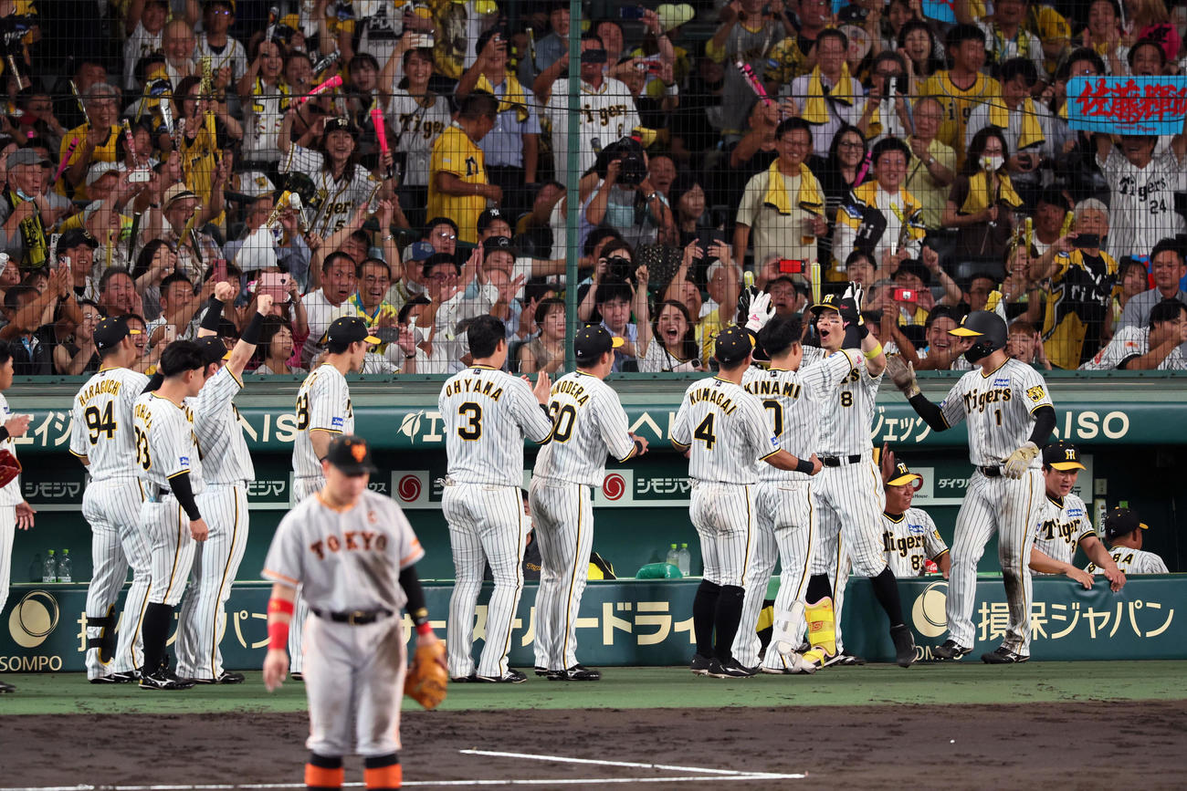 阪神対巨人　6回裏阪神2死一塁、佐藤輝は中越え2点本塁打を放ちナインと歓喜のタッチ（撮影・加藤哉）