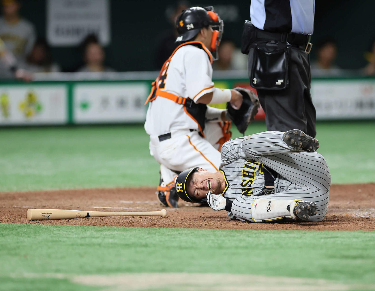 7月2日、巨人戦の7回に死球を受けた近本は倒れ込む