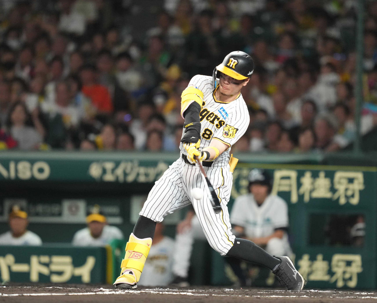 阪神対巨人　6回裏阪神2死一塁、2点本塁打を放つ佐藤輝（撮影・狩俣裕三）