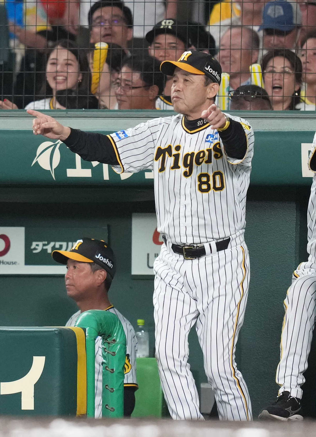 阪神対巨人　8回裏阪神1死、森下の一塁アウトの判定にリクエストをする岡田監督（撮影・狩俣裕三）