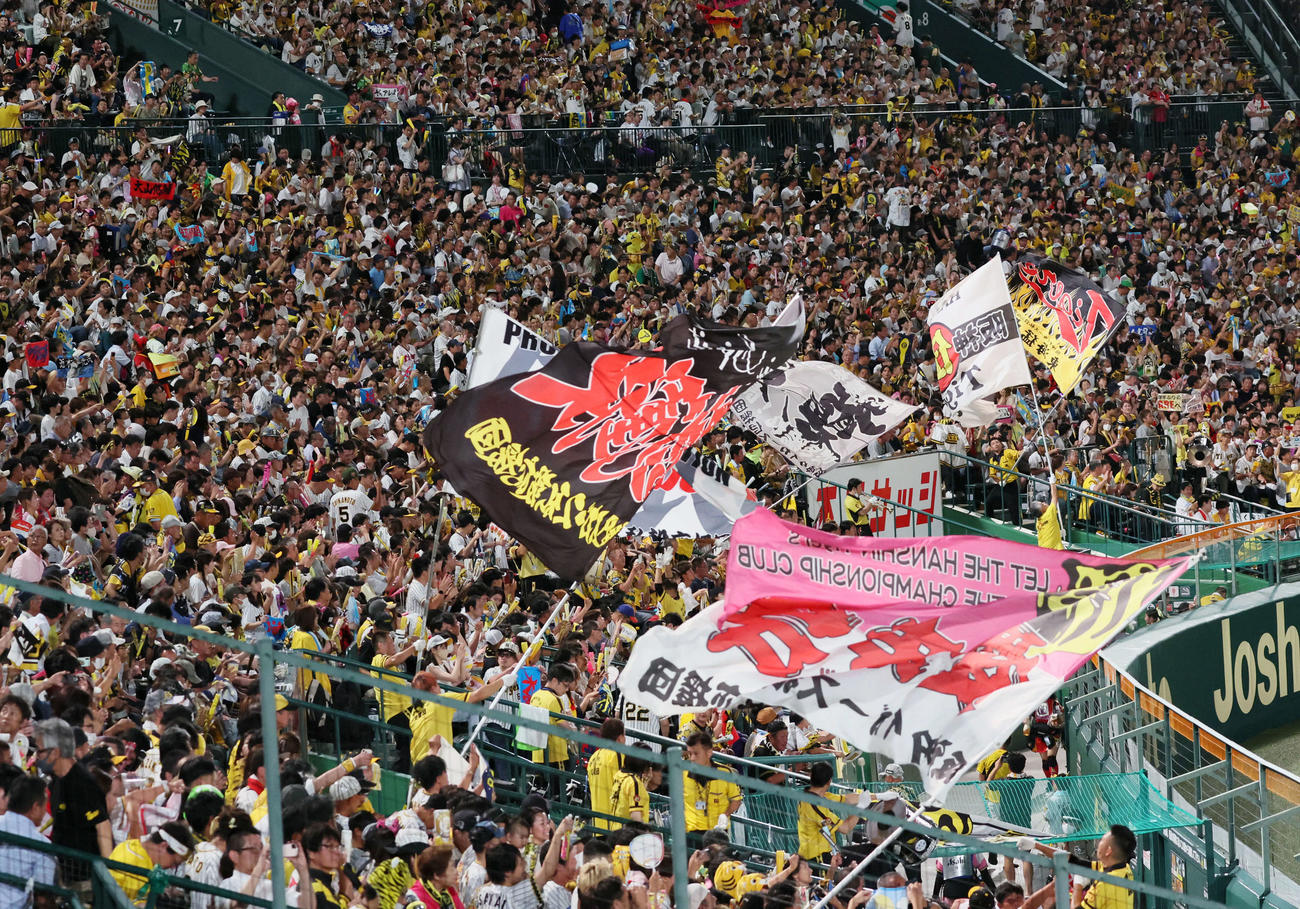 盛り上がる甲子園の阪神ファン（2023年9月13日撮影）