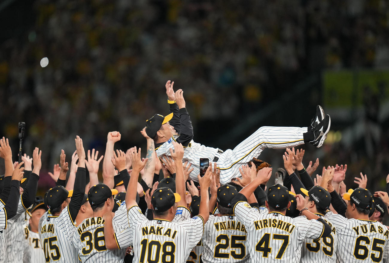 阪神対巨人　リーグ優勝を決め、胴上げされる岡田監督（撮影・狩俣裕三）