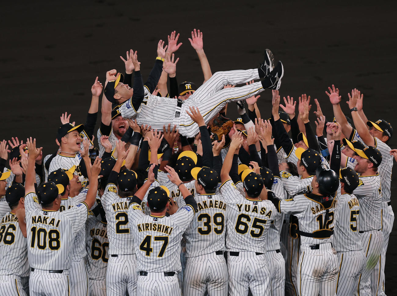 阪神対巨人　18年ぶりにセ・リーグを制覇し、ナインから胴上げされる阪神岡田監督（撮影・前田充）