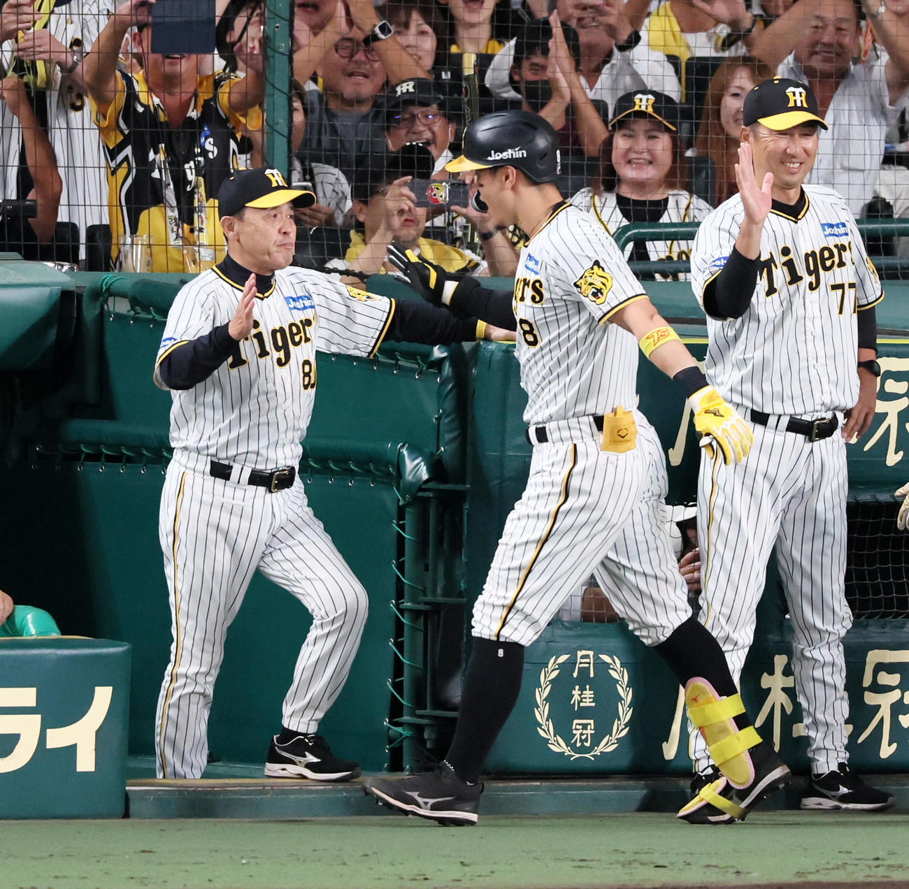阪神対巨人　6回裏阪神2死一塁、佐藤輝は中越え2点本塁打を放ちベンチで迎える岡田監督（左）とタッチする（撮影・加藤哉）