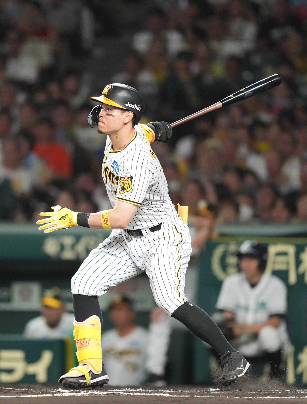 阪神対巨人　6回裏阪神2死一塁、2点本塁打を放つ佐藤輝（撮影・狩俣裕三）