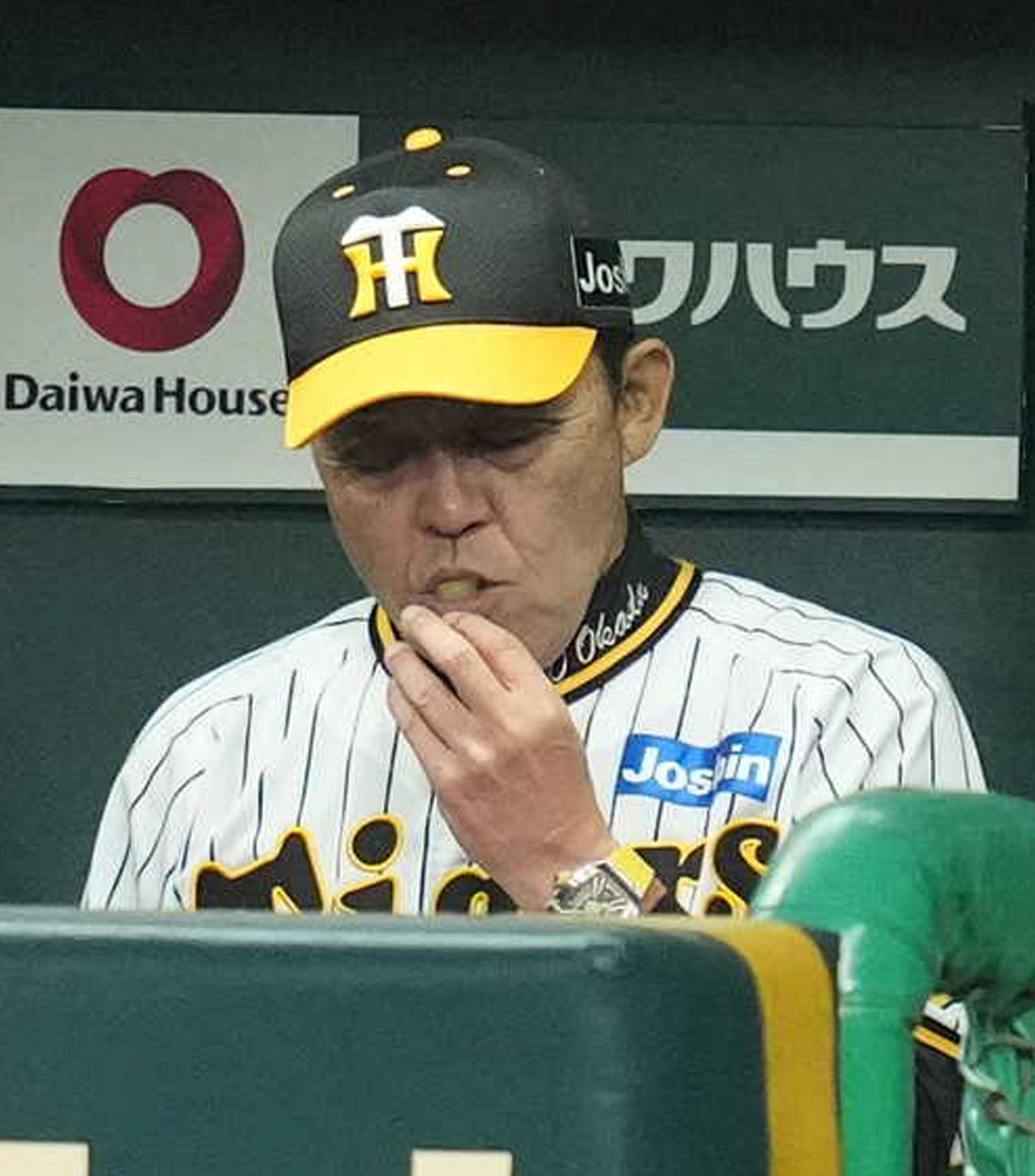 阪神対巨人　3回表、パインアメをなめる岡田監督（撮影・狩俣裕三）