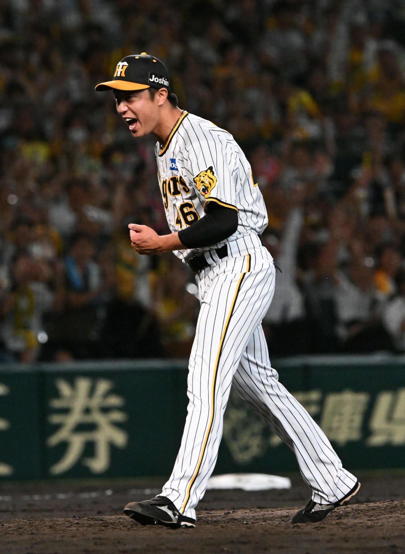 阪神島本浩也（2023年9月14日撮影）