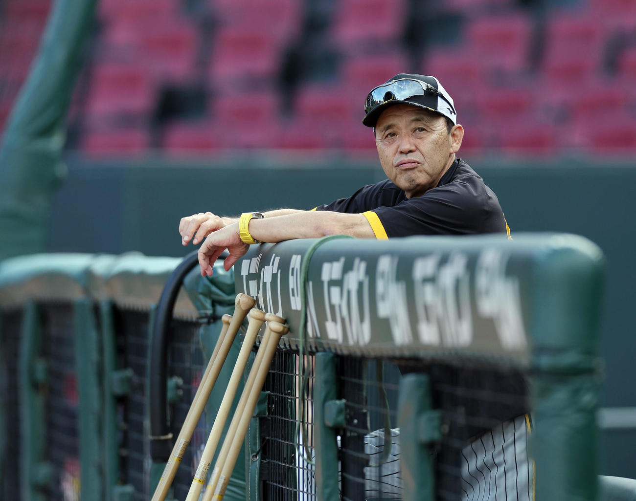 広島対阪神　試合前練習を見守る阪神岡田監督（撮影・前田充）