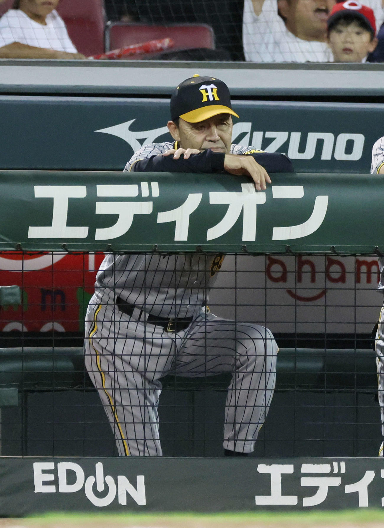 広島対阪神　試合終了時の岡田監督（撮影・加藤孝規）