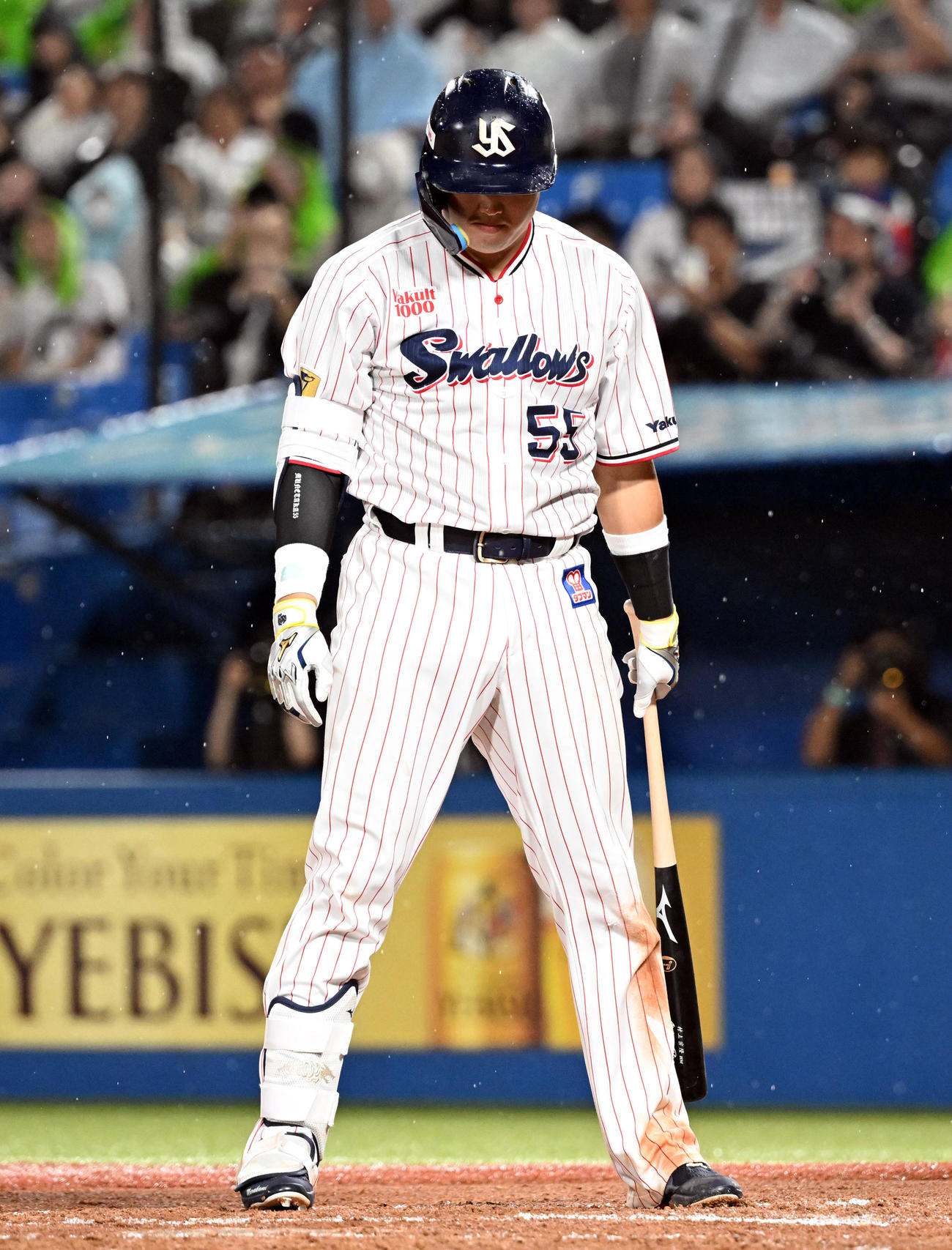 ヤクルト対DeNA 7回裏無死ヤクルト無死、見逃し三振に倒れる村上（撮影・たえ見朱実）