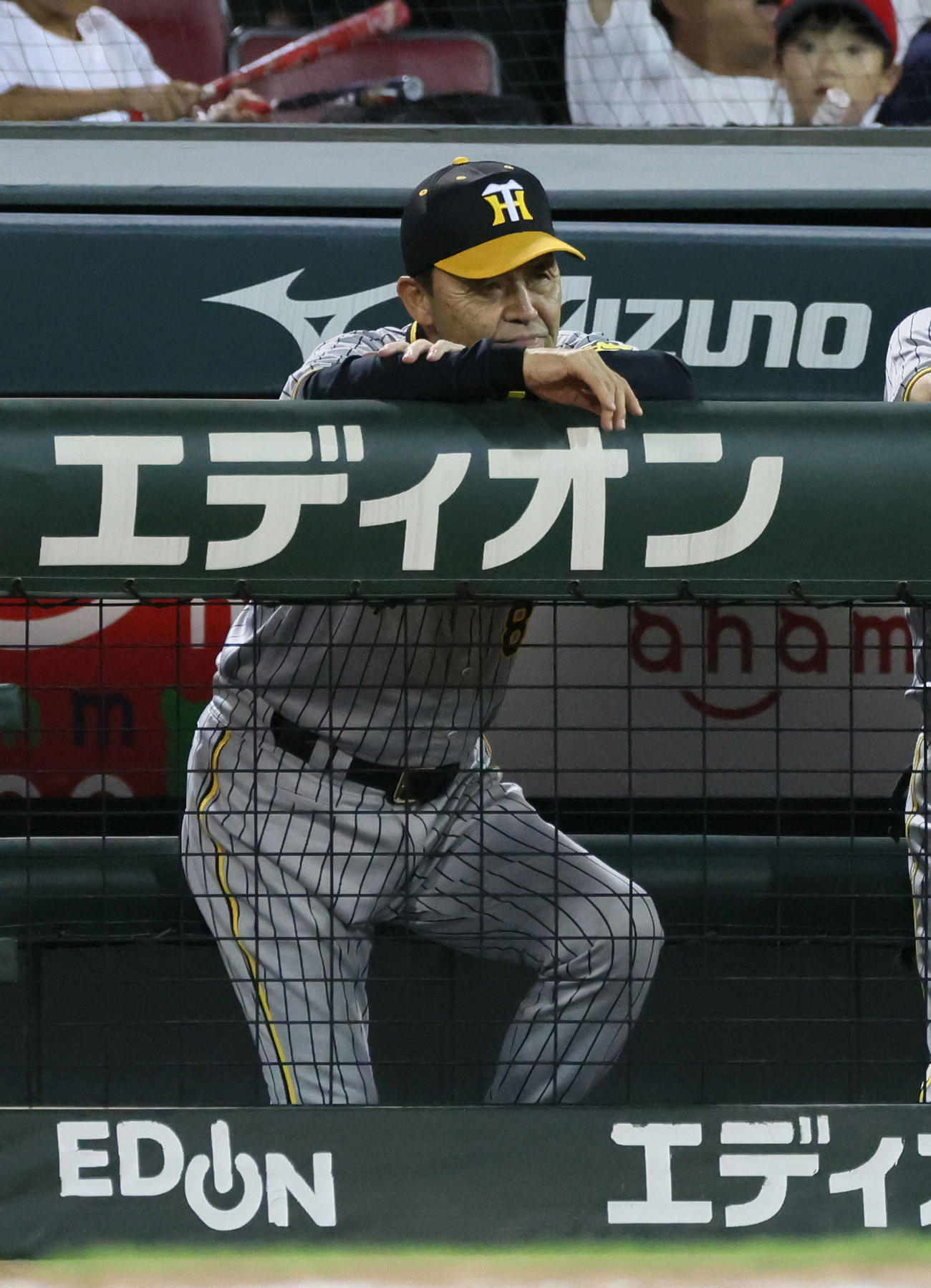 広島対阪神　試合終了時の岡田監督（撮影・加藤孝規）