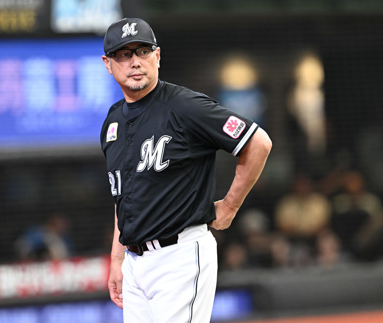 西武対ロッテ　交代を伝えるロッテ吉井監督（撮影・滝沢徹郎）
